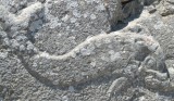 Ancient Thira 4 * 800 x 468 * (126KB)